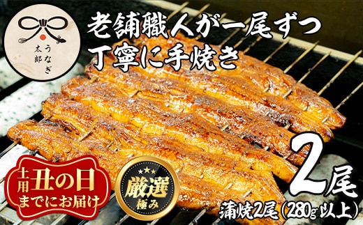 【0263708a-2607】＜丑の日までにお届け！＞鹿児島県産東串良町のうなぎ蒲焼・秘伝のタレ付き(2尾・計280g以上) うなぎ 高級 ウナギ 鰻 国産 蒲焼 蒲焼き たれ 鹿児島 うな重 うな丼 土用の丑の日 【うなぎ太郎】