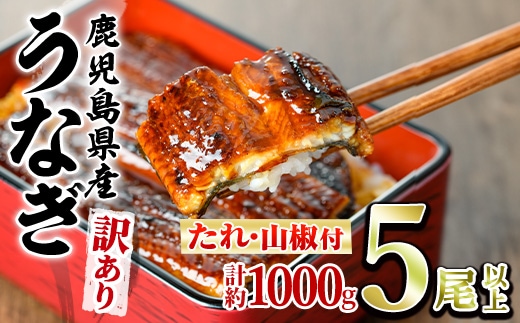 【0274358a】＜訳あり＞東串良町のうなぎ蒲焼(無頭)(5尾以上・計約1kg・タレ、山椒付) 数量限定 うなぎ 高級 ウナギ 鰻 国産 蒲焼 蒲焼き たれ 鹿児島 ふるさと 人気【アクアおおすみ】