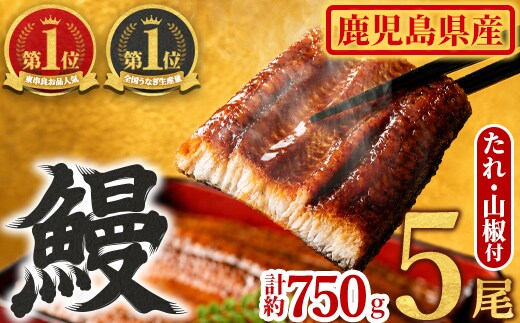 【0294315a】東串良町のうなぎ蒲焼(無頭)(5尾・計約750g・タレ、山椒付)うなぎ 高級 ウナギ 鰻 国産 蒲焼 蒲焼き たれ 鹿児島 ふるさと 人気【アクアおおすみ】