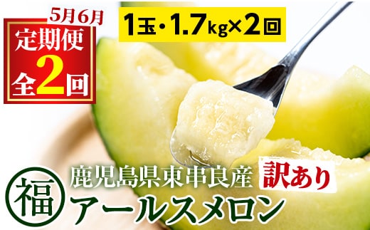 【0221105b】＜訳あり！定期便・全2回(5月・6月)＞マル福の高級アールスメロン(1玉×2回・計3.4kg)メロン フルーツ 果物 果実 3キロ 数量限定 期間限定【マル福園芸組合】