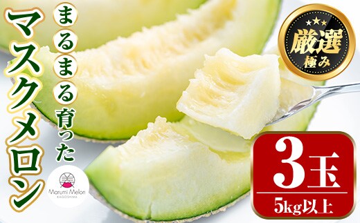 【0322204a】まるまる育ったマスクメロン(3玉・計5kg以上) マスクメロン フルーツ 果物 果実 5キロ 数量限定 期間限定【まる美園芸組合】