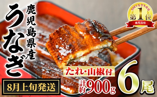 【0304349a-2608】＜8月上旬発送予定＞東串良町のうなぎ蒲焼(無頭)(6尾・計約900g・タレ、山椒付) うなぎ 高級 ウナギ 鰻 国産 蒲焼 蒲焼き たれ 鹿児島 ふるさと 人気 【アクアおおすみ】
