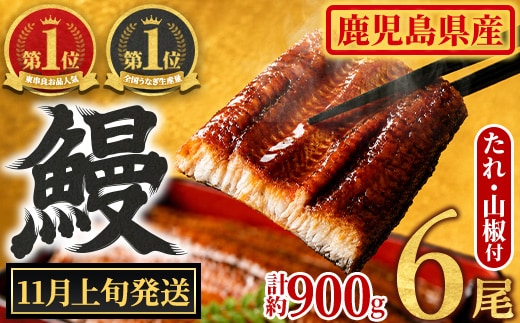 【0304349a-2611】＜11月上旬発送予定＞東串良町のうなぎ蒲焼(無頭)(6尾・計約900g・タレ、山椒付) うなぎ 高級 ウナギ 鰻 国産 蒲焼 蒲焼き たれ 鹿児島 ふるさと 人気 【アクアおおすみ】
