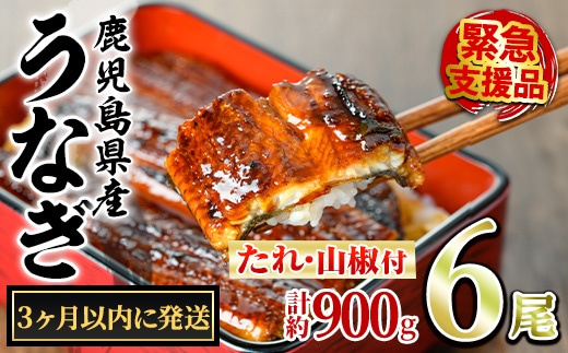 【0334338a】＜3ヶ月以内に発送予定＞東串良町のうなぎ蒲焼(無頭)(6尾・計約900g・タレ、山椒付) うなぎ 高級 ウナギ 鰻 国産 蒲焼 蒲焼き たれ 鹿児島 ふるさと 人気 【アクアおおすみ】