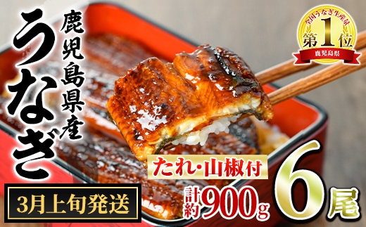 【0364340a-2603】＜3月上旬発送予定＞東串良町のうなぎ蒲焼(無頭)(6尾・計約900g・タレ、山椒付) うなぎ 高級 ウナギ 鰻 国産 蒲焼 蒲焼き たれ 鹿児島 ふるさと 人気 【アクアおおすみ】