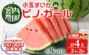 【0325001b】《2027年4月以降発送》＜定期便・全2回＞小玉すいか・ピノ・ガール(2玉×2回・計8kg以上 果物 くだもの 旬 果実 フルーツ スイカ すいか 西瓜 ピノガール 小玉スイカ 数量限定 期間限定 定期便 4月 5月 【宮内農園】