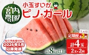 【0325001b】《2026年5月以降発送》＜定期便・全2回＞小玉すいか・ピノ・ガール(2玉×2回・計8kg以上) 果物 果実 フルーツ スイカ ピノガール 数量限定 期間限定 定期便 5月 6月 【宮内農園】