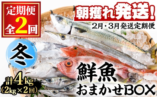 【0301103b】＜定期便・全2回(2月・3月)＞「冬の鮮魚BOX」朝獲れ発送！鮮魚問屋が厳選したおまかせ鮮魚(約2kg程度×2回)魚 魚介類 鮮魚 海鮮 詰め合わせ セット 刺身 天ぷら 煮つけ 塩焼き【江川商店】