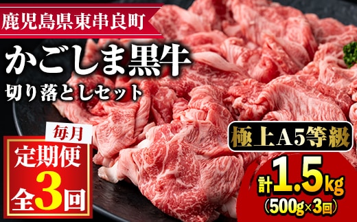 【0341701b】＜定期便・全3回＞鹿児島県産黒毛和牛A5等級切り落とし(約500g×3回)牛肉 肉 切落し 切り落し 和牛 冷凍 国産 お肉 牛丼 野菜炒め カレー【前田畜産 たかしや】