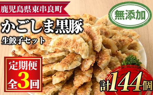 【0365103b】＜定期便・全3回＞鹿児島黒豚生餃子48個セット(12個入×4パック×3回・計144個) 黒豚 豚肉 ぶた肉 餃子 ギョウザ ぎょうざ 惣菜【鹿児島ますや】
