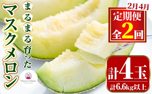 【0432209b】＜定期便・全2回(2月・4月)＞まるまる育ったマスクメロン(2玉×2回・計6.6kg以上) マスクメロン フルーツ 果物 果実 6キロ 数量限定 期間限定【まる美園芸組合】