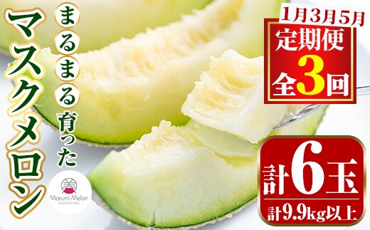 【0642210b】＜定期便・全3回(1月・3月・5月)＞まるまる育ったマスクメロン(2玉×3回・計9.9kg以上) マスクメロン フルーツ 果物 果実 定期便 数量限定 【まる美園芸組合】