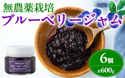 【12161】贅沢な国産ブルーベリージャム(100g×6個・計600g)ジャム 瓶 果物 果実 フルーツ パン【村山製油】