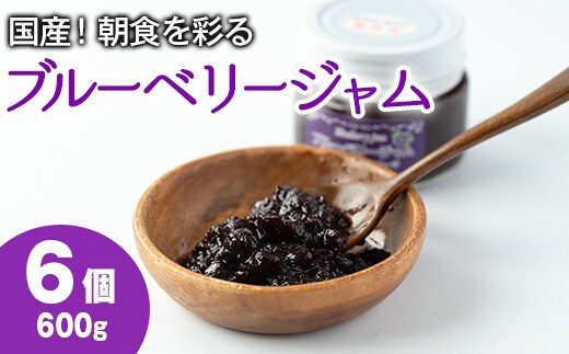 【12161】贅沢な国産ブルーベリージャム(100g×6個・計600g)ジャム 瓶 果物 果実 フルーツ パン【村山製油】