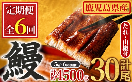 【1504304b】＜定期便・全6回＞東串良町のうなぎ蒲焼(無頭)(5尾・計約750g・タレ、山椒付×6回)うなぎ 高級 ウナギ 鰻 国産 蒲焼 蒲焼き たれ 鹿児島 ふるさと 人気【アクアおおすみ】