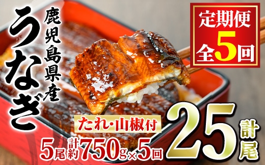 【150041】＜定期便・全5回＞東串良町のうなぎ蒲焼(無頭)(5尾・計約750g・タレ、山椒付×5回)うなぎ 高級 ウナギ 鰻 国産 蒲焼 蒲焼き たれ 鹿児島 ふるさと 人気【アクアおおすみ】