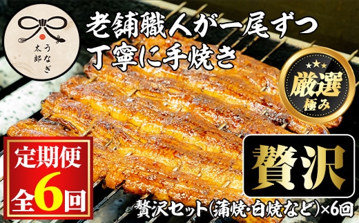 【3003712b】＜定期便・全6回(連続)＞鹿児島県産うなぎの贅沢セット(蒲焼き・白焼き・きざみ鰻など) うなぎ 高級 ウナギ 鰻 国産 たれ 鹿児島 蒲焼き 白焼き きざみ鰻 焼肝串 【うなぎ太郎】