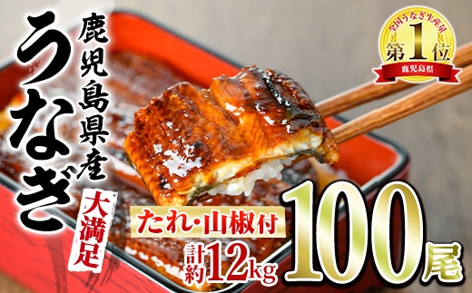【4504306a】＜大満足＞東串良町のうなぎ蒲焼(無頭)(120g×100尾・計約12000g・タレ、山椒付)うなぎ 高級 ウナギ 鰻 国産 蒲焼 蒲焼き たれ 鹿児島 ふるさと 人気【アクアおおすみ】