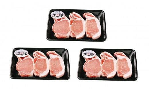 No.1253-2 鹿児島黒豚とんかつセット（C-801）
