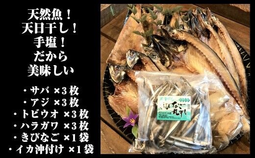 ふるさと納税 錦江町 ふる里館 ヒラマサ1尾セット(ブロック・カマ