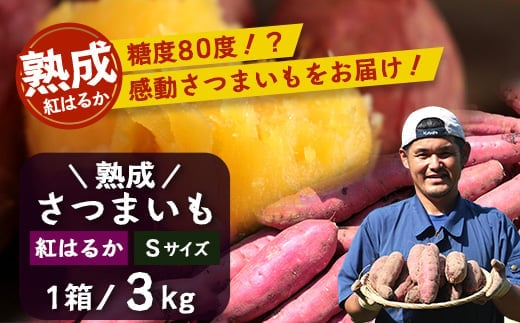 【先行予約・2025年11月下旬より順次発送】鹿児島県産 熟成 紅はるか 3kg (1箱 ) Sサイズ (おすそ分け袋／美味しい焼き芋の焼き方 説明書付き） | さつまいも サツマイモ 焼き芋 べにはるか おやつ 煮物 芋ごはん 味噌汁 鹿児島県 南大隅町 株式会社フォレスト（AX72211）