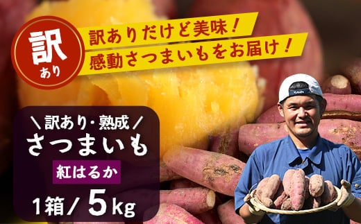 [訳あり品！]【先行予約・2025年11月下旬より順次発送】鹿児島県産 熟成 紅はるか 5kg (1箱 ) Sサイズ (おすそ分け袋／美味しい焼き芋の焼き方 説明書付き） | さつまいも サツマイモ 焼き芋 べにはるか おやつ 煮物 芋ごはん 味噌汁 鹿児島県 南大隅町 株式会社フォレスト 訳あり（AX72217）