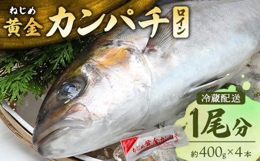 【配送日指定可能】鹿児島 ねじめ黄金カンパチ ロイン 1尾（約400g×4本）冷蔵便 | 魚 直送 養殖 根占 さかな 身が引き締まった かんぱち 漁師 刺身 寿司 しゃぶしゃぶ ぷりぷり食感 鹿児島県 南大隅町 ねじめ漁業協同組合 D7502