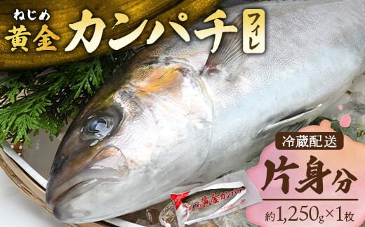 【配送日指定可能】鹿児島 ねじめ黄金カンパチ フィレ 片身分（約1,250g×1枚） 冷蔵便 | 魚 直送 養殖 根占 さかな 身が引き締まった かんぱち 漁師 刺身 寿司 しゃぶしゃぶ ぷりぷり食感 鹿児島県 南大隅町 ねじめ漁業協同組合 D7508