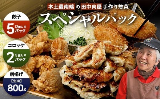 佐多の田中肉屋 スペシャルパック（餃子・コロッケ・味付唐揚げ）冷凍便 | 国産 お惣菜 手作り 餃子 ギョーザ やみつき ニンニク から揚げ 若鶏唐揚げ 鶏肉 揚げるだけ コロッケ 大容量 おかず 弁当 おつまみ 保存料不使用 簡単調理 産地直送 鹿児島県 南大隅町 田中精肉店 AN7405
