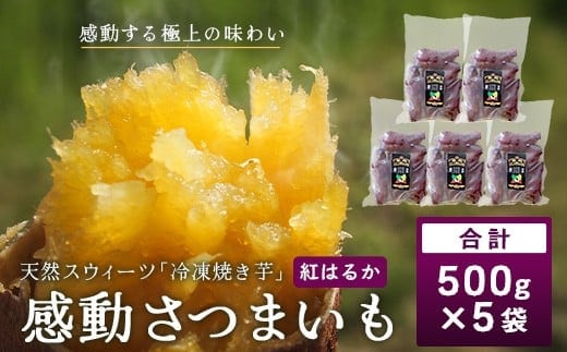 【冷凍焼芋】感動さつまいも 熟成紅はるか 500g×5パック | サツマイモ 焼き芋 紅はるか べにはるか 熟成芋 長期熟成 冷凍 スイーツ お菓子 甘い お中元 お歳暮 ギフト プレゼント 保存料不使用 鹿児島県 南大隅町 株式会社フォレスト AX7504