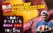 【先行予約・2025年11月下旬より順次発送】鹿児島県産 熟成 紅はるか 5kg (1箱 ) Lサイズ (おすそ分け袋／美味しい焼き芋の焼き方 説明書付き） | さつまいも サツマイモ 焼き芋 べにはるか おやつ 煮物 芋ごはん 味噌汁 鹿児島県 南大隅町 株式会社フォレスト（AX72216）