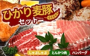 鹿児島県産 ひかり麦豚 しゃぶしゃぶ 食べ比べ + とんかつ肉 + ハンバーグ セット | 肉 お肉 にく 豚肉 ロース 肩ロース バラ肉 スライス 豚カツ 手作り お惣菜 冷凍 詰め合わせ 産地直送 新鮮 小分け 甘み ジューシー 送料無料 鹿児島県 南大隅町 ひかり麦豚直売所 BK702