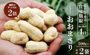 【先行予約】食べ応え抜群の大粒落花生「おおまさり」500g袋×２袋≪数量限定≫　FR-311 ｜鹿児島県産 野菜 やさい 食品 人気 おすすめ 送料無料 落花生 おおまさり 産地直送 新鮮 南大隅町