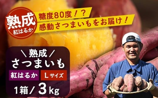 【先行予約・2025年11月下旬より順次発送】鹿児島県産 熟成 紅はるか 3kg (1箱 ) Lサイズ (おすそ分け袋／美味しい焼き芋の焼き方 説明書付き） | さつまいも サツマイモ 焼き芋 べにはるか おやつ 煮物 芋ごはん 味噌汁 鹿児島県 南大隅町 株式会社フォレスト 熟成（AX7531）