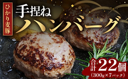 鹿児島県産 ひかり麦豚 手捏ねハンバーグ セット サイズ違い 大中小 ≪合計22個≫ HM-705 | 肉 お肉 にく 豚肉 絶品 ハンバーグ 添加物不使用 肉汁 ジューシー おかず お弁当 ロコモコ 冷凍 産地直送 小分け 鹿児島県 南大隅町 ひかり麦豚直売所