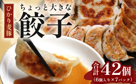 鹿児島県産 ひかり麦豚 ＼＼ちょっと大きな 餃子 42個セット／／ HM-707 | ぎょうざ ギョウザ 食べ応え抜群 焼き餃子 水餃子 おかず お弁当 冷凍 産地直送 鹿児島県 南大隅町 ひかり麦豚直売所