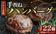 鹿児島県産 ひかり麦豚 手捏ねハンバーグ セット サイズ違い 大中小 計22個 | 肉 お肉 にく 豚肉 手ごね 絶品 ハンバーグ 添加物不使用 肉汁 ジューシー おかず お弁当 ロコモコ 冷凍 産地直送 小分け 甘み 鹿児島県 南大隅町 ひかり麦豚直売所 BK705