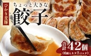 鹿児島県産 ひかり麦豚 ちょっと大きな 餃子 42個 セット | 肉 お肉 にく 豚肉 ミンチ 肉汁 ジューシー 食べ応え抜群 焼き餃子 水餃子 おかず お弁当 冷凍 パック 産地直送 鹿児島県 南大隅町 ひかり麦豚直売所 BK707