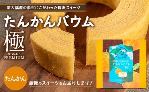 バウムクーヘン ≪極≫ たんかん 直径約15cm SH-712 │ バウムクーヘン バームクーヘン スイーツ ケーキ 焼き菓子 洋菓子 お菓子 おかし おやつ デザート プレゼント 贈り物 ギフト 常温 鹿児島県 南大隅町 31℃LINE花子