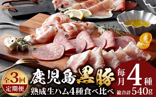 【定期便】南州農場 黒豚熟成生ハム4種食べ比べ セット 全3回 | 国産 肉 お肉 豚肉 豚 にく ぶた かごしま黒豚 生ハム 最高峰 熟成ハム コッパ パンチェッタ コッホサラミ スパイス サラミ 冷蔵 詰め合わせ 産地直送 ギフト プレゼント 贈り物 鹿児島県 南大隅町 A7519