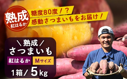 【先行予約：11月下旬配送～】熟成 さつまいも 紅はるか 5kg Mサイズ (おすそ分け袋／美味しい焼き芋の焼き方 説明書付き） FR-214 ｜ 秋の味覚 2026年秋収穫 貯蔵 長期熟成 糖化 さつまいも サツマイモ 感動サツマイモ 焼き芋 べにはるか 使いやすい 野菜 ねっとり 濃厚 おやつ おかず お弁当 煮物 芋ごはん 味噌汁 産地直送 鹿児島県 南大隅町 株式会社フォレスト