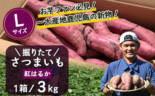 【先行予約：2026年9月中旬配送～】掘りたて さつまいも 紅はるか 3kg Lサイズ (自宅で簡単レシピ付き）FR-215 | 秋の味覚 2026年秋収穫 新物 さつまいも サツマイモ 感動サツマイモ 焼き芋 べにはるか 大きめ 野菜 おやつ おかず お弁当 煮物 芋ごはん 味噌汁 産地直送 鹿児島県 南大隅町 株式会社フォレスト