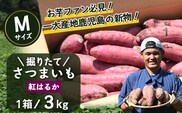 【先行予約：2026年9月中旬配送～】掘りたて さつまいも 紅はるか 3kg Mサイズ (自宅で簡単レシピ付き）FR-203 | 秋の味覚 2026年秋収穫 新物 さつまいも サツマイモ 感動サツマイモ 焼き芋 べにはるか 使いやすい 野菜 おやつ おかず お弁当 煮物 芋ごはん 味噌汁 産地直送 鹿児島県 南大隅町 株式会社フォレスト