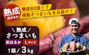 【先行予約：11月下旬配送～】熟成 さつまいも 紅はるか 3kg Lサイズ (美味しい焼き芋の焼き方 説明書付き） FR-531 ｜ 秋の味覚 2026年秋収穫 貯蔵 長期熟成 糖化 さつまいも サツマイモ 感動サツマイモ 焼き芋 べにはるか 大きめ 野菜 ねっとり 濃厚 おやつ おかず お弁当 煮物 芋ごはん 味噌汁 産地直送 鹿児島県 南大隅町 株式会社フォレスト