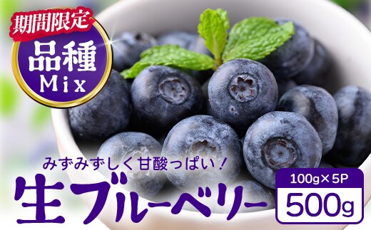 【期間限定】南大隅産 (生)ブルーベリー 品種ミックス詰め合わせパック ≪100g×5P≫ BO-1 ｜ 鹿児島県 南大隅町 旬 産地直送 果物 ブルーベリー フルーツ くだもの 新鮮 農園 冷蔵 本土最南端