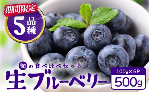 【2027年先行予約】南大隅産 (生) ブルーベリー 食べ比べセット (5品種を1パックずつ) 100g×5P BO-2｜ ブルーベリー 生 大粒 小分け 旬 産地直送 果物 フルーツ くだもの 新鮮 農園 冷蔵 鹿児島県 南大隅町 本土最南端からお届けします！