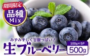 【期間限定】南大隅産 (生)ブルーベリー 品種ミックス詰め合わせパック ≪100g×5P≫  BO-1 ｜ 鹿児島県 南大隅町 旬 産地直送 果物 ブルーベリー フルーツ くだもの 新鮮 農園 冷蔵 本土最南端