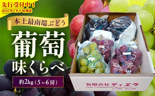 【2027年先行予約・数量限定】ブドウ味くらべ約2kg 3種以上 (5～6房) TE708｜鹿児島県 南大隅町 17品種の中から厳選