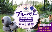 鹿児島県の南国！南大隅町の農園で、ブルーベリー摘み取り体験♪ ブルーベリー摘み取り体験チケット （60分食べ放題） ≪大人1名様分≫ BO-3｜鹿児島県 南大隅町 農園 収穫体験 果物 ブルーベリー チケット 体験 本土最南端