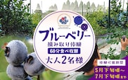 鹿児島県の南国！南大隅町の農園で、ブルーベリー摘み取り体験♪ ブルーベリー摘み取り体験チケット （60分食べ放題）≪大人2名様分≫ BO-4｜鹿児島県 南大隅町 農園 収穫体験 果物 ブルーベリー チケット 体験 本土最南端